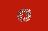 双鸭山市集贤回收红酒